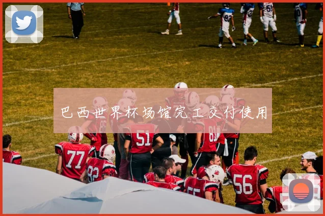 巴西世界杯场馆完工交付使用